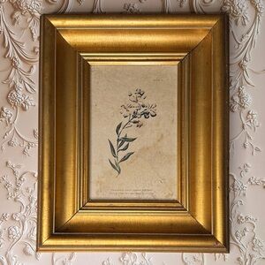 Vintage Estate Gold Ornate Framed Botanical Art Print 11"x13"